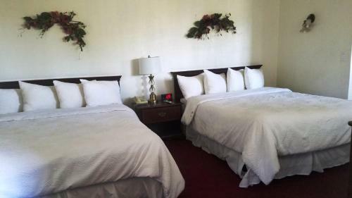 Stanford Motor Inn