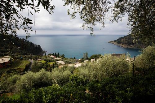 Apartamento Casa Orchidea - Vista Mare Meravigliosa