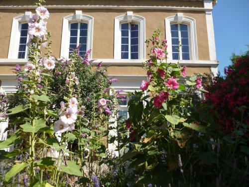 Bed & Breakfast La Maison Des Palmiers