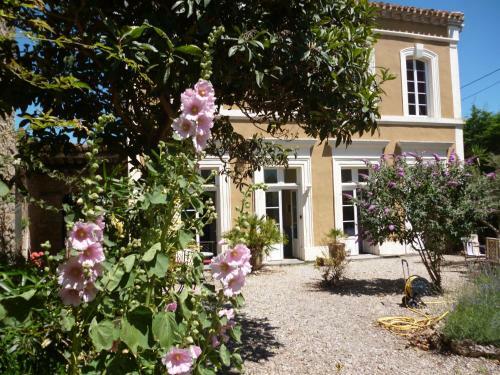 Bed & Breakfast La Maison Des Palmiers