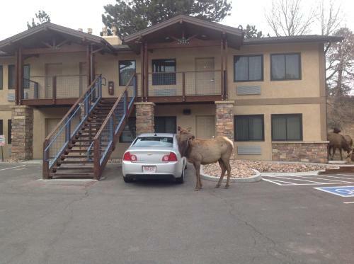 The Haber Motel