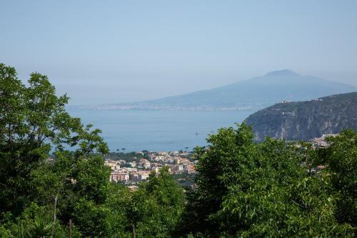 Bed & Breakfast L' Arancio In Fiore