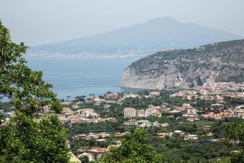 Bed & Breakfast L' Arancio In Fiore