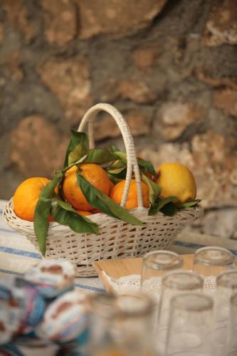 Bed & Breakfast L' Arancio In Fiore