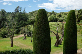 Agroturismo Finca Bell-lloc
