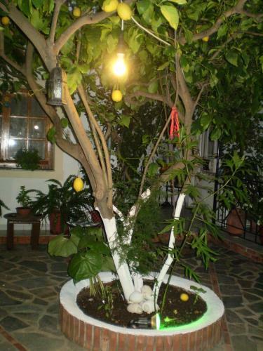 Hostal Nopi Pension