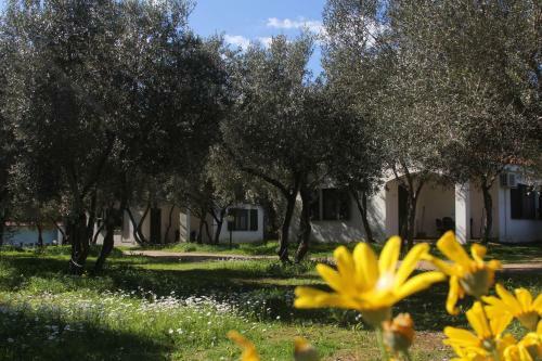 Agroturismo Agriturismo Sarrabus