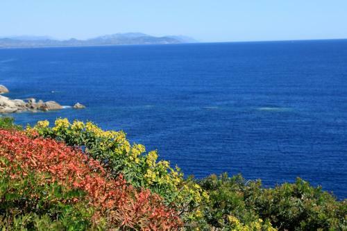 Agroturismo Agriturismo Sarrabus