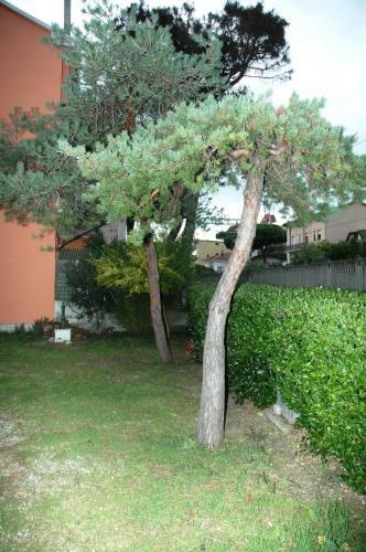 Hostal Villa Linda