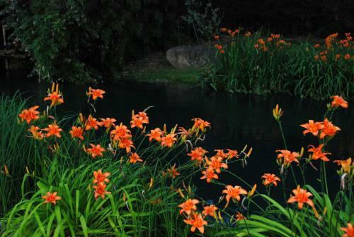 Bed & Breakfast La Finestra Sul Fiume
