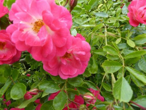 Bed & Breakfast Chambre D'h�tes La M�ridienne