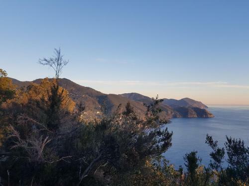 Agroturismo Il Laghello Di Amina