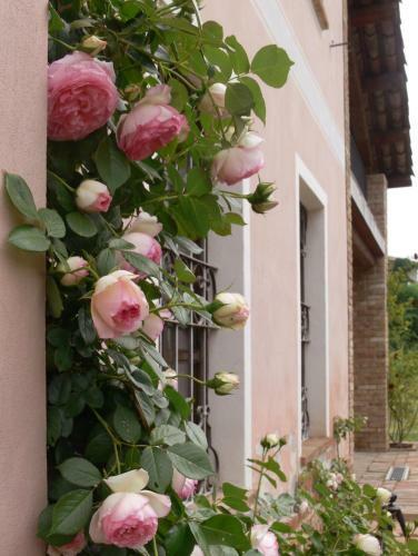 Agroturismo Casa Isabella