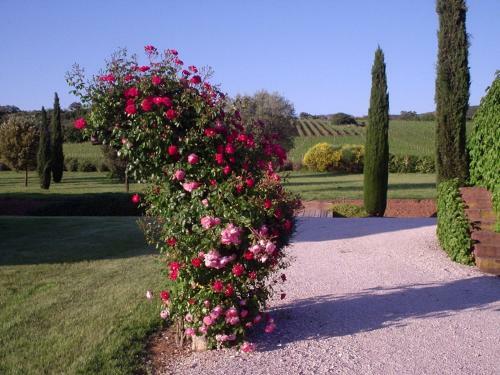 Agroturismo Agriturismo Podere Sant' Antonio