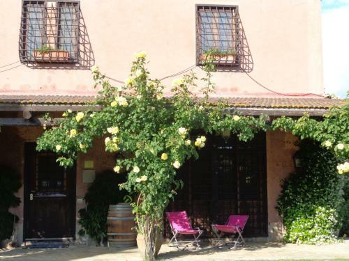 Agroturismo Agriturismo Podere Sant' Antonio