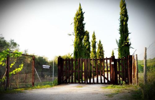 Agroturismo Agriturismo Podere Sant' Antonio