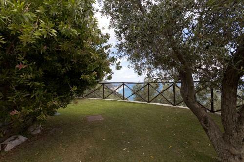 Villa Degli Ulivi B&B