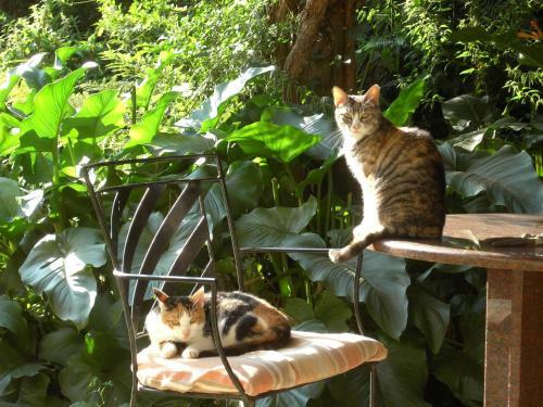 Bed & Breakfast Chambres D'h�tes Le Moulin De Barre
