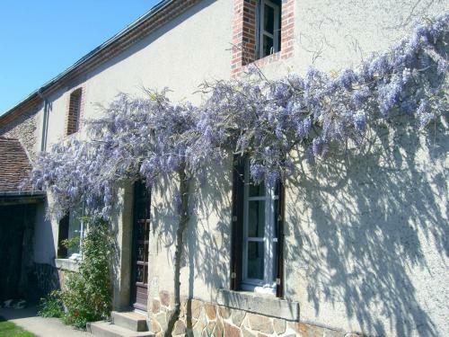 Bed & Breakfast Chambres D'h�tes Le Moulin De Barre