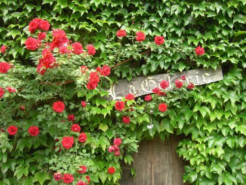 Bed & Breakfast Chambres D'h�tes Le Moulin De Barre