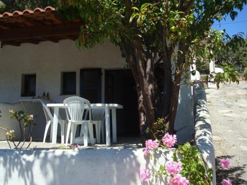 Apartamento R�sidence L'alivetu