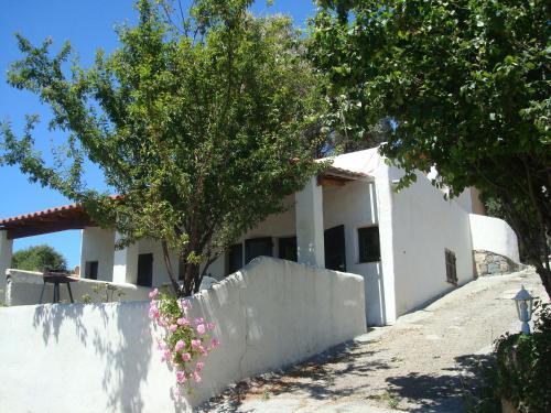 Apartamento R�sidence L'alivetu