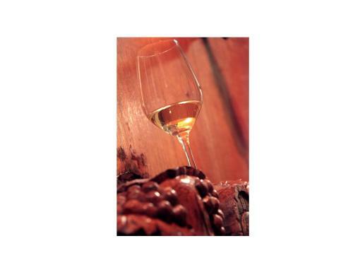Hostal Domaine Jean Sipp