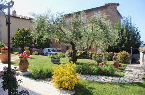 B&B Il Canto Del Gallo