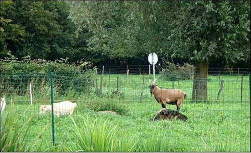 Bed & Breakfast Chambres D'h�tes La Ferme Du Scardon