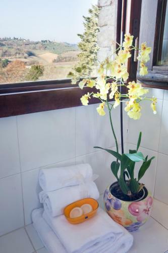 Agroturismo Fortezza De' Cortesi