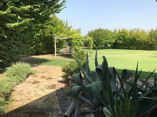 Bed & Breakfast Ca' Borgo Delle Rane