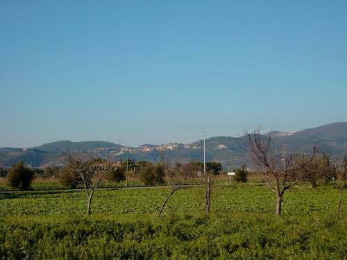 Apartamento Podere Casalpiano