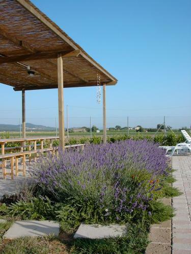 Apartamento Podere Casalpiano