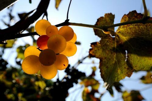 Agroturismo Agriturismo Trer�