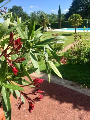 Bed & Breakfast Maison D'h�tes Villa Roffa