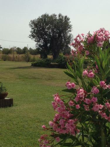 Apartamento Residence Cernaia