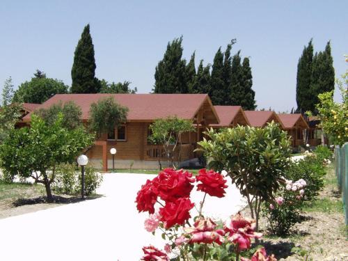 Sandy's Studios Apartments & Log-villas