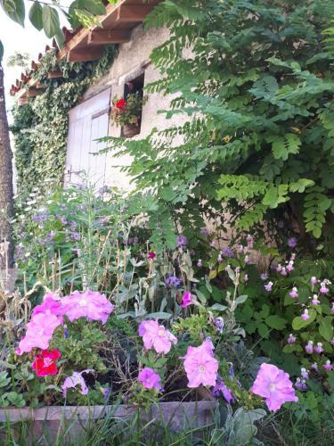 Bed & Breakfast La Ferme De L'orme-vial