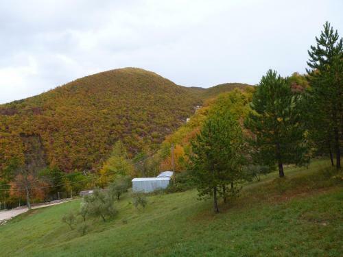 Holiday Home La Cerqua