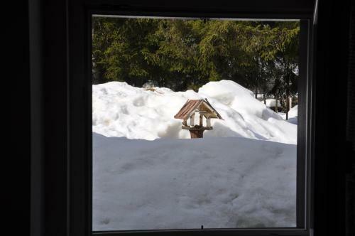Hostal Casa Alpina Dobbiaco