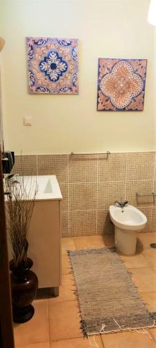 Hostal Madeira Native Motion Guest House