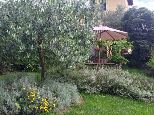 Apartamento Casa Del Cavaliere