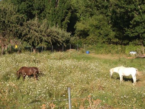 Agroturismo Encanto De Arag�n