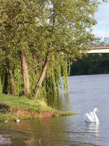 Apartamento Appartement Birgitta