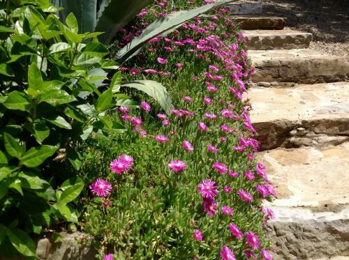 Agroturismo Dolci Colline Holidays Villas