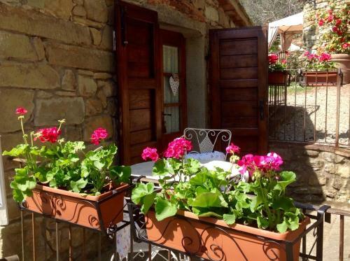 Agroturismo Dolci Colline Holidays Villas