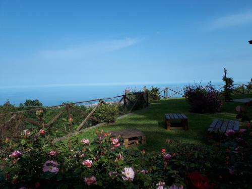 Hostal L'infinito Guest House