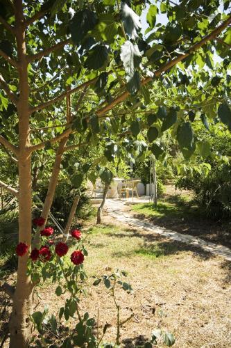 Agroturismo La Hacienda