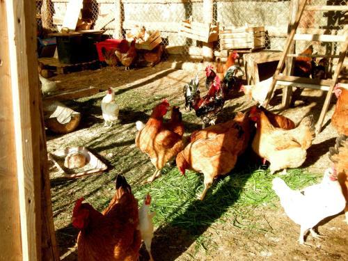 Agroturismo Agrihouse