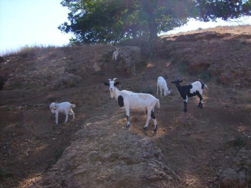 Agroturismo Agrihouse